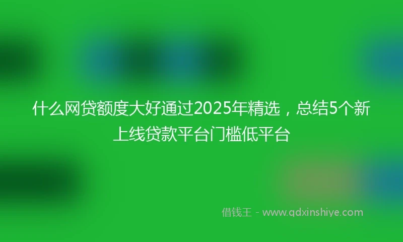 什么网贷额度大好通过2025年精选，总结5个新上线贷款平台门槛低平台