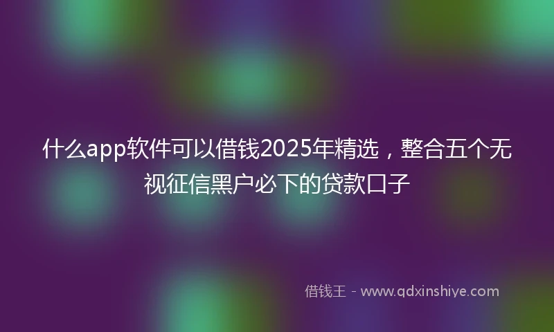 什么app软件可以借钱2025年精选，整合五个无视征信黑户必下的贷款口子