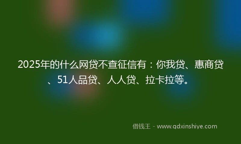 2025年的什么网贷不查征信有：你我贷、惠商贷、51人品贷、人人贷、拉卡拉等。