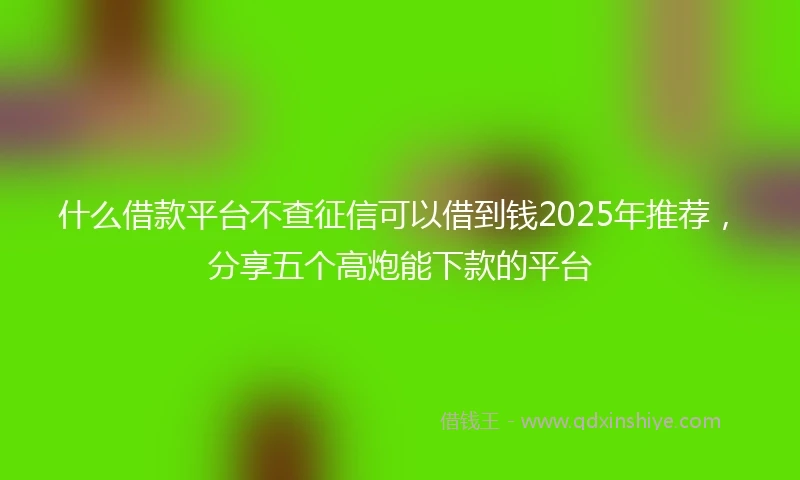 什么借款平台不查征信可以借到钱2025年推荐，分享五个高炮能下款的平台