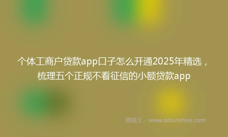 个体工商户贷款app口子怎么开通2025年精选，梳理五个正规不看征信的小额贷款app