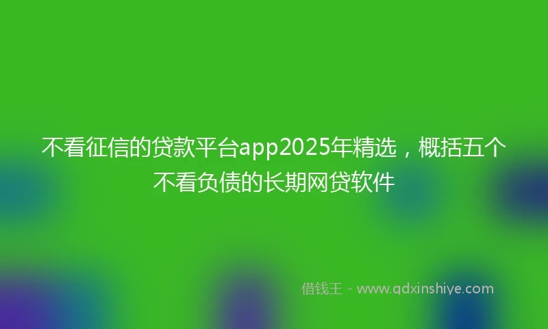不看征信的贷款平台app2025年精选，概括五个不看负债的长期网贷软件