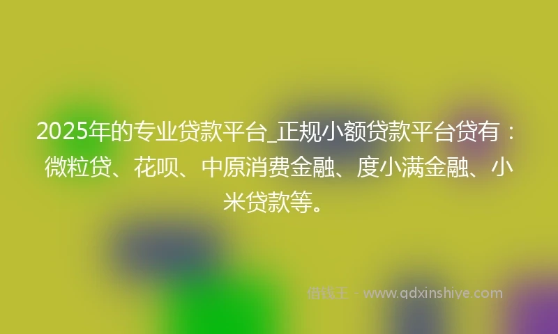 2025年的专业贷款平台_正规小额贷款平台贷有：微粒贷、花呗、中原消费金融、度小满金融、小米贷款等。