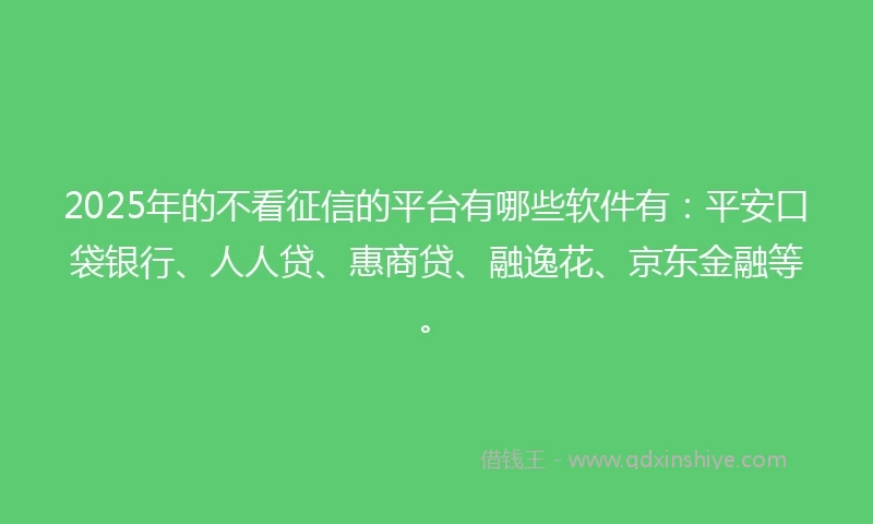 2025年的不看征信的平台有哪些软件有：平安口袋银行、人人贷、惠商贷、融逸花、京东金融等。