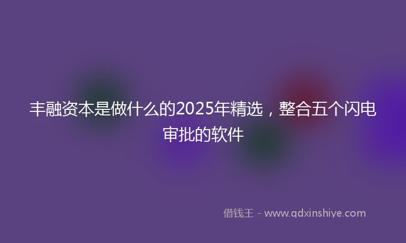 丰融资本是做什么的2025年精选，整合五个闪电审批的软件