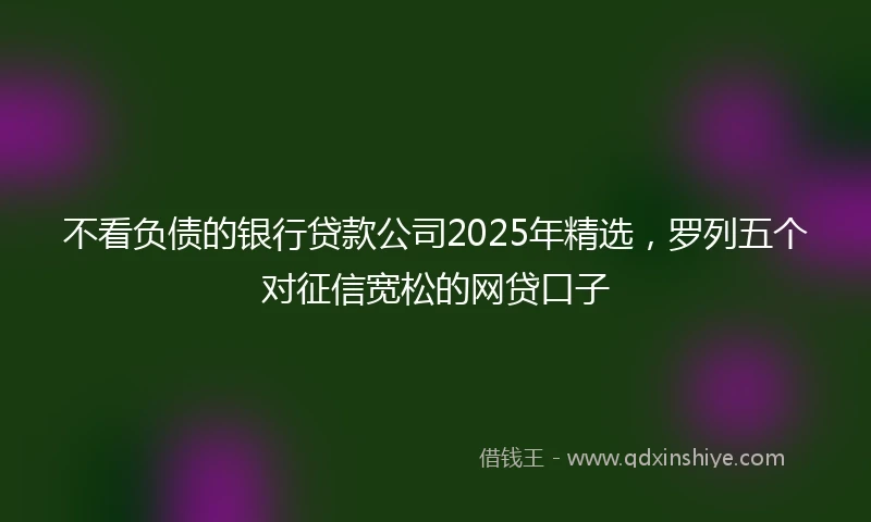 不看负债的银行贷款公司2025年精选，罗列五个对征信宽松的网贷口子