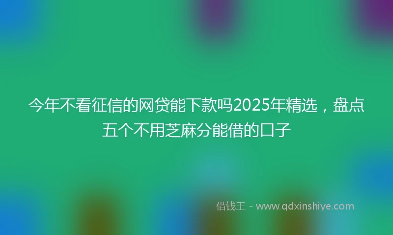 今年不看征信的网贷能下款吗2025年精选，盘点五个不用芝麻分能借的口子