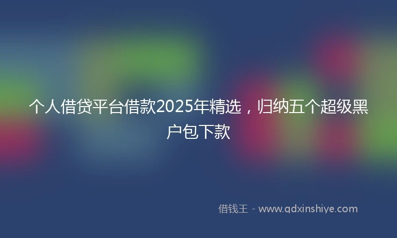 个人借贷平台借款2025年精选，归纳五个超级黑户包下款