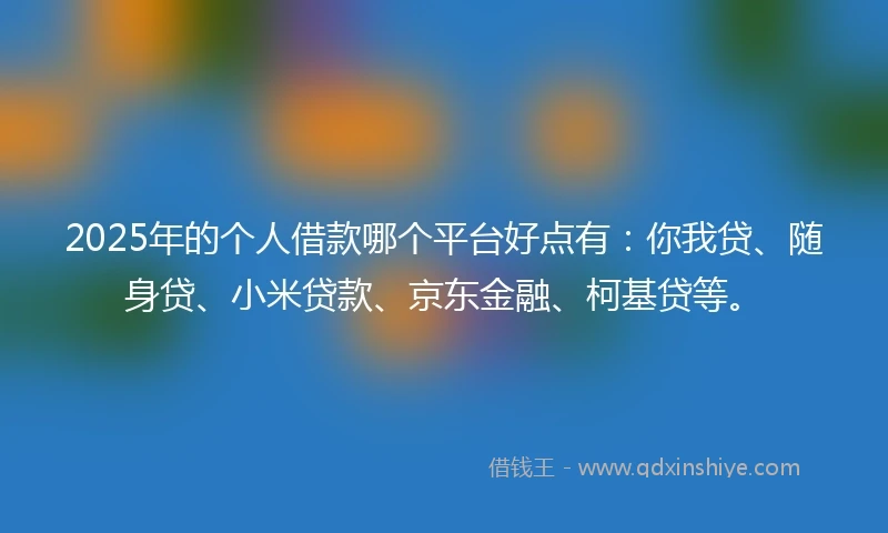 2025年的个人借款哪个平台好点有：你我贷、随身贷、小米贷款、京东金融、柯基贷等。