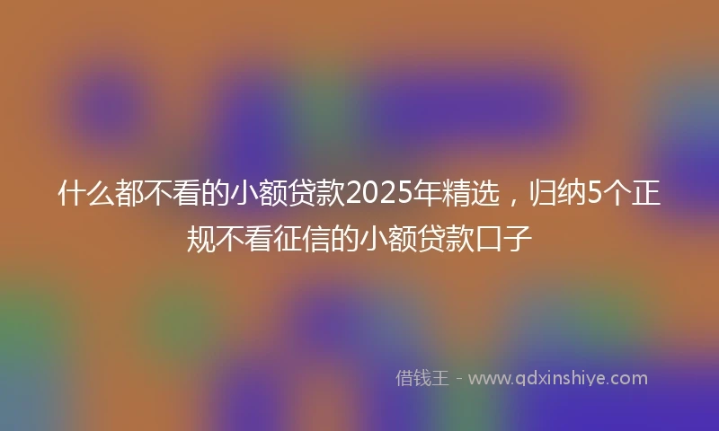 什么都不看的小额贷款2025年精选，归纳5个正规不看征信的小额贷款口子