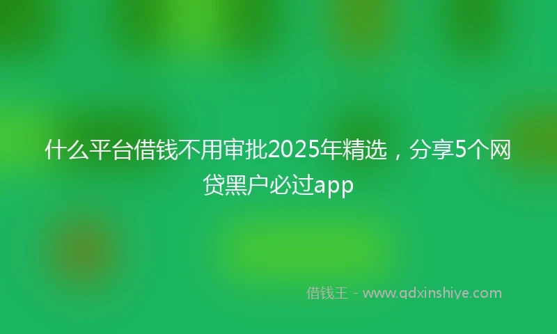 什么平台借钱不用审批2025年精选，分享5个网贷黑户必过app