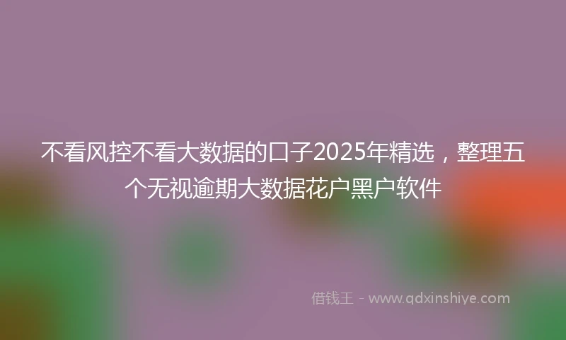 不看风控不看大数据的口子2025年精选，整理五个无视逾期大数据花户黑户软件