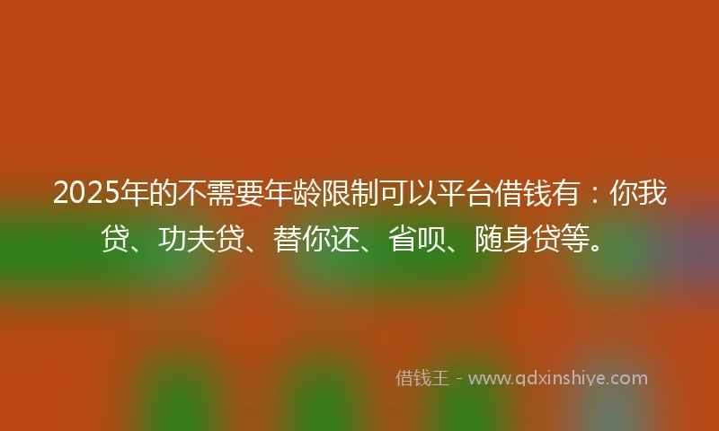 2025年的不需要年龄限制可以平台借钱有：你我贷、功夫贷、替你还、省呗、随身贷等。