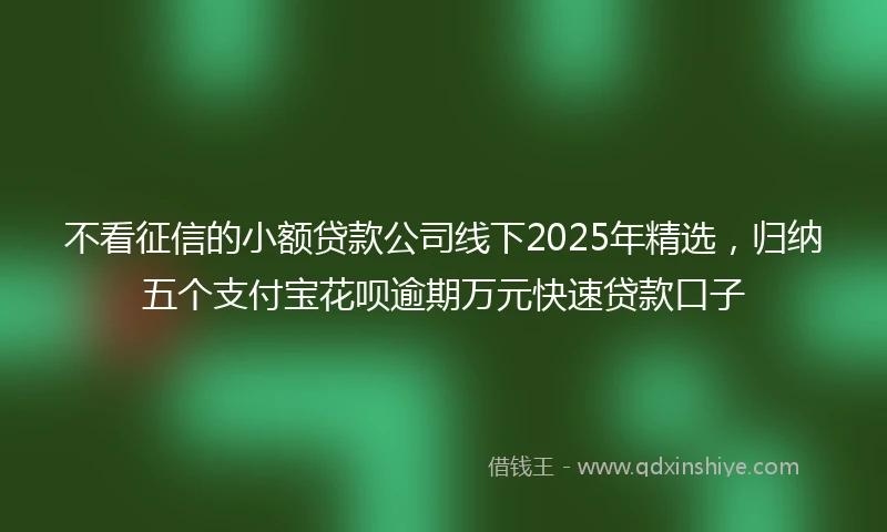 不看征信的小额贷款公司线下2025年精选，归纳五个支付宝花呗逾期万元快速贷款口子