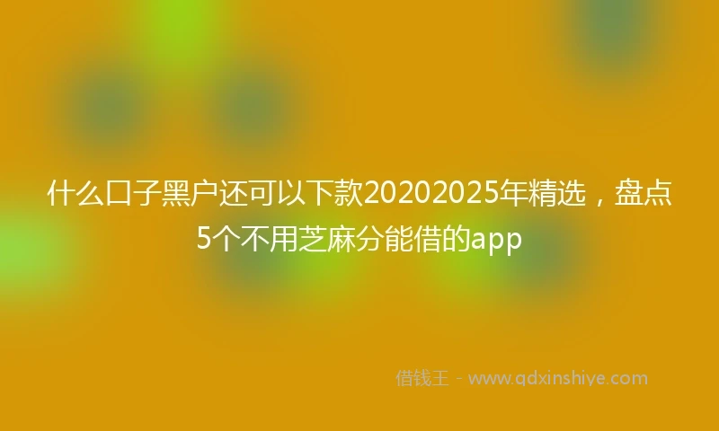 什么口子黑户还可以下款20202025年精选，盘点5个不用芝麻分能借的app