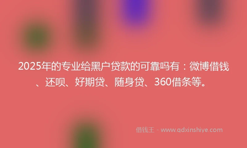 2025年的专业给黑户贷款的可靠吗有：微博借钱、还呗、好期贷、随身贷、360借条等。