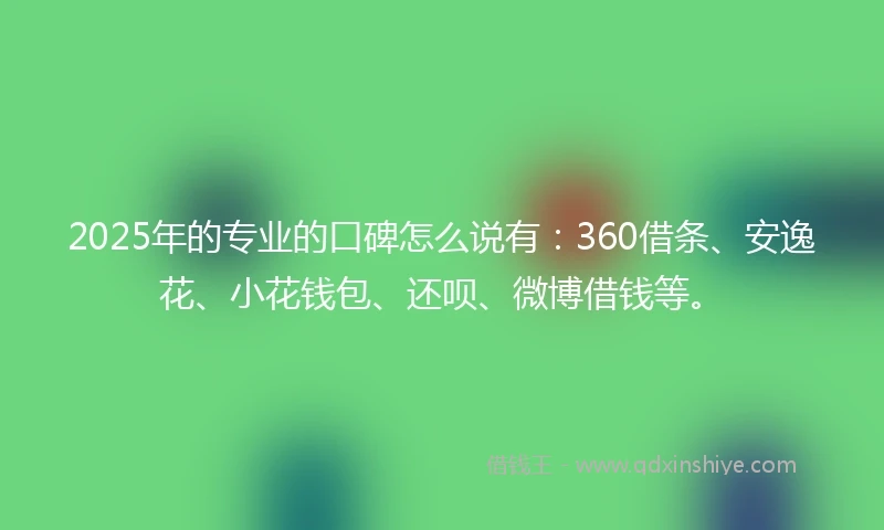 2025年的专业的口碑怎么说有：360借条、安逸花、小花钱包、还呗、微博借钱等。