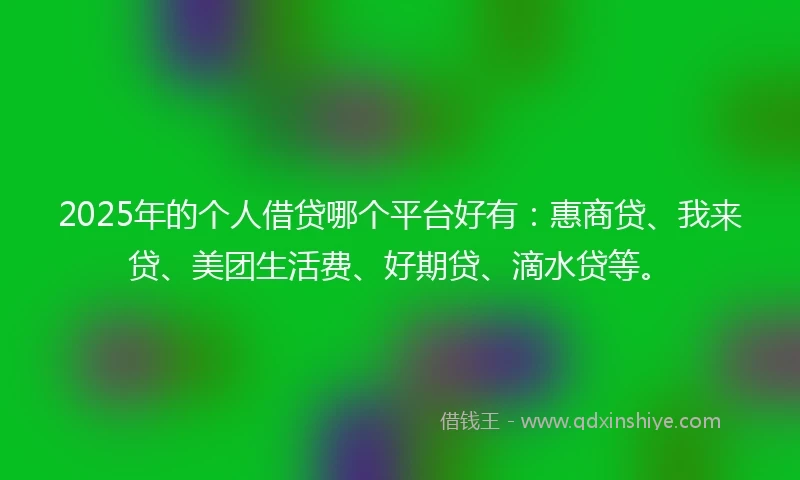 2025年的个人借贷哪个平台好有：惠商贷、我来贷、美团生活费、好期贷、滴水贷等。