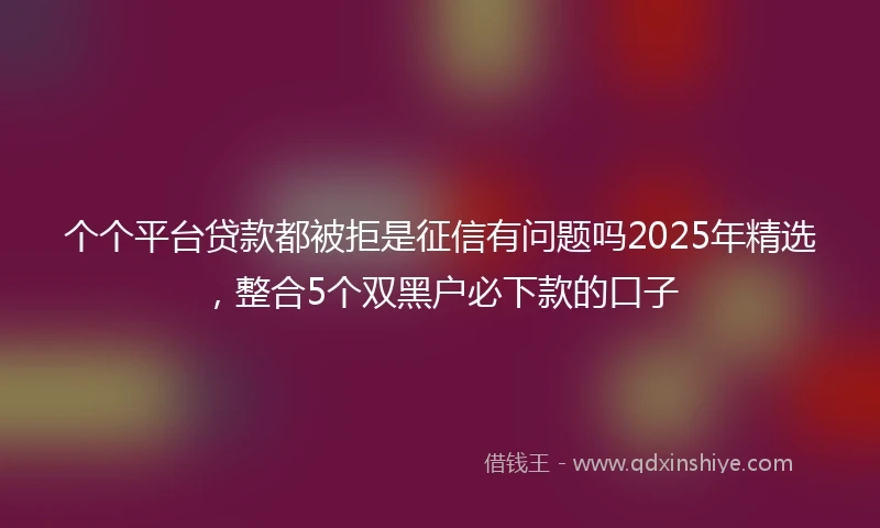 个个平台贷款都被拒是征信有问题吗2025年精选，整合5个双黑户必下款的口子