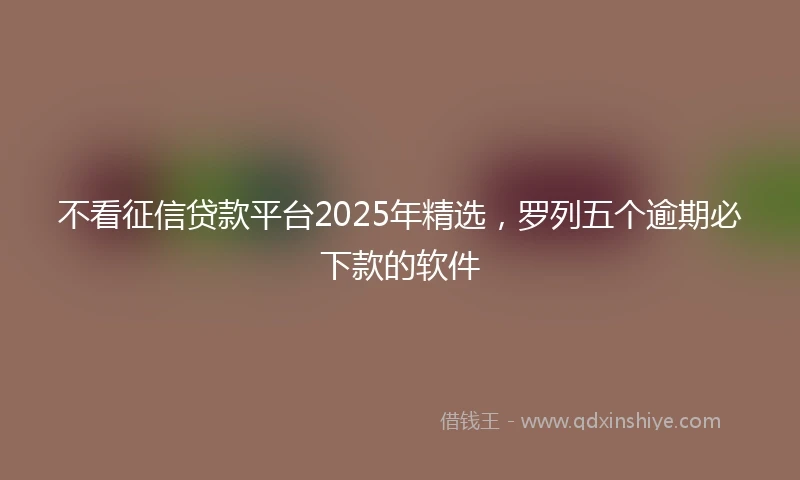 不看征信贷款平台2025年精选，罗列五个逾期必下款的软件