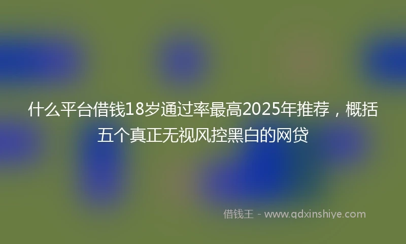 什么平台借钱18岁通过率最高2025年推荐，概括五个真正无视风控黑白的网贷