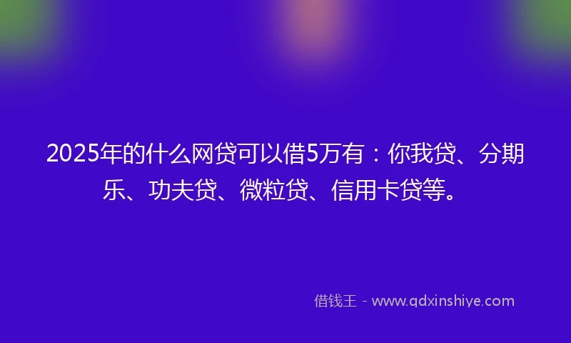 2025年的什么网贷可以借5万有：你我贷、分期乐、功夫贷、微粒贷、信用卡贷等。
