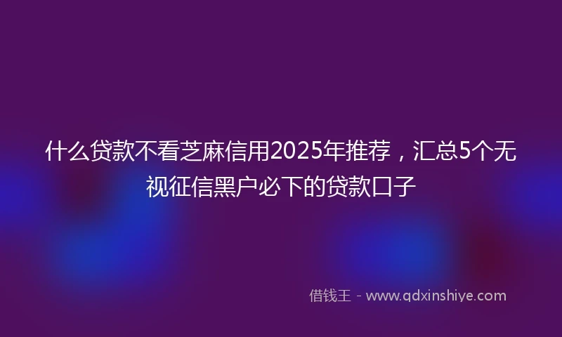 什么贷款不看芝麻信用2025年推荐，汇总5个无视征信黑户必下的贷款口子