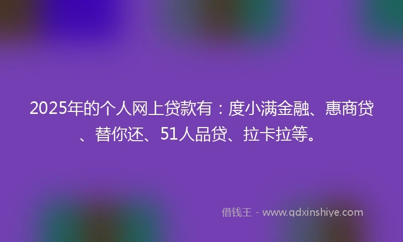 2025年的个人网上贷款有：度小满金融、惠商贷、替你还、51人品贷、拉卡拉等。