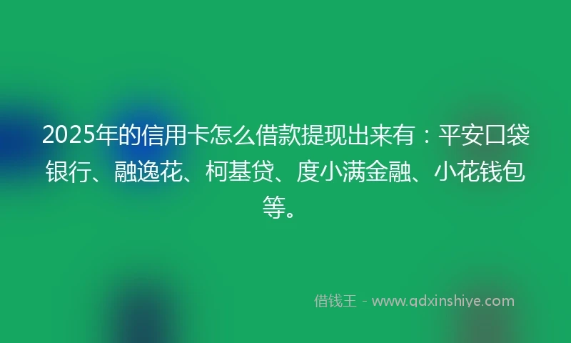 2025年的信用卡怎么借款提现出来有：平安口袋银行、融逸花、柯基贷、度小满金融、小花钱包等。