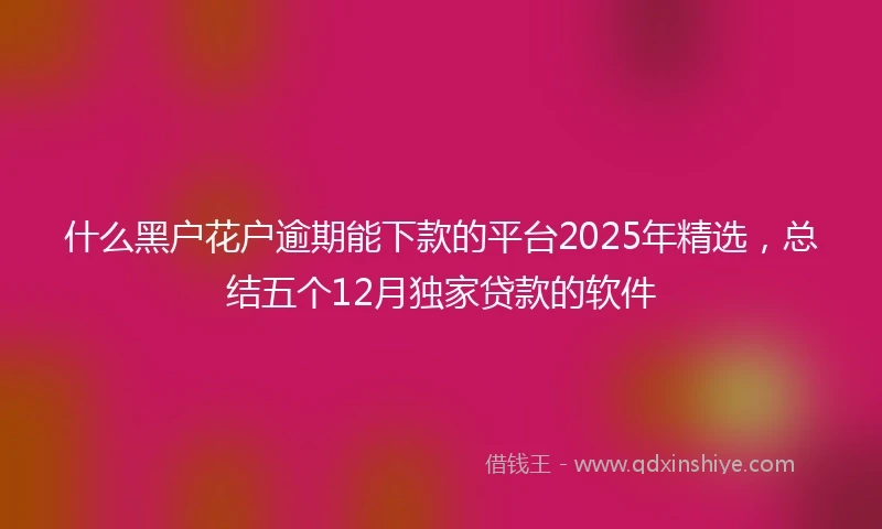 什么黑户花户逾期能下款的平台2025年精选，总结五个12月独家贷款的软件