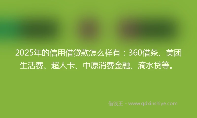 2025年的信用借贷款怎么样有：360借条、美团生活费、超人卡、中原消费金融、滴水贷等。