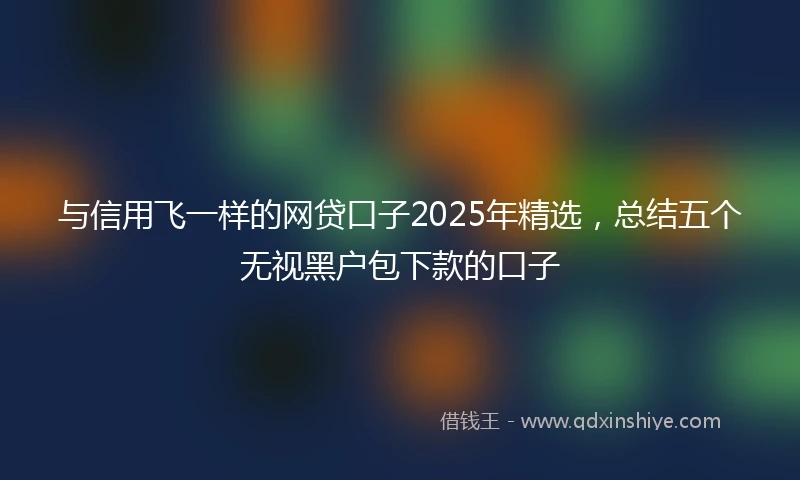 与信用飞一样的网贷口子2025年精选，总结五个无视黑户包下款的口子