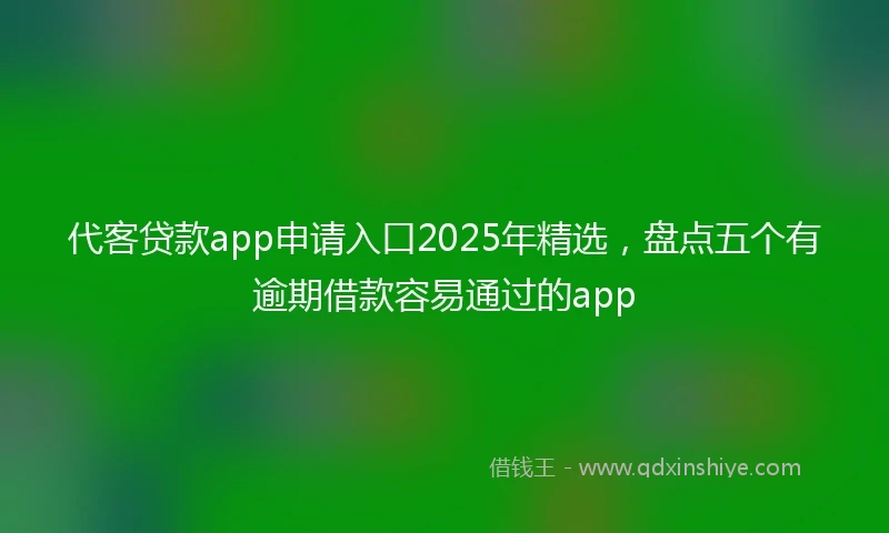 代客贷款app申请入口2025年精选，盘点五个有逾期借款容易通过的app