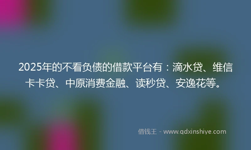 2025年的不看负债的借款平台有：滴水贷、维信卡卡贷、中原消费金融、读秒贷、安逸花等。