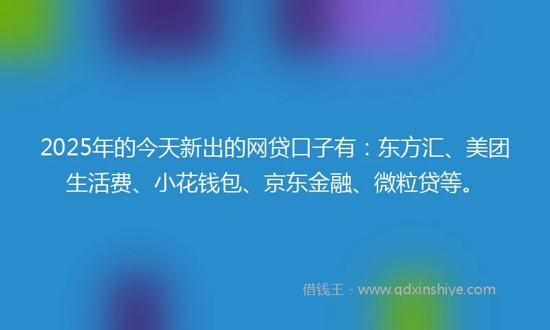 2025年的今天新出的网贷口子有：东方汇、美团生活费、小花钱包、京东金融、微粒贷等。