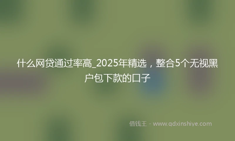 什么网贷通过率高_2025年精选，整合5个无视黑户包下款的口子