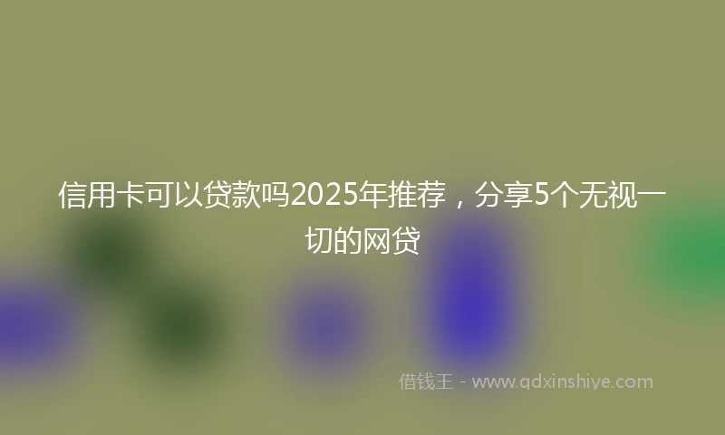 信用卡可以贷款吗2025年推荐，分享5个无视一切的网贷