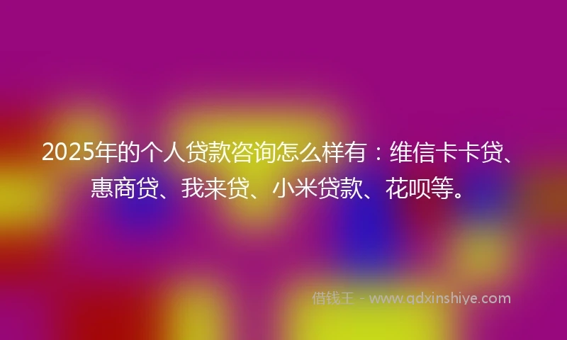 2025年的个人贷款咨询怎么样有：维信卡卡贷、惠商贷、我来贷、小米贷款、花呗等。