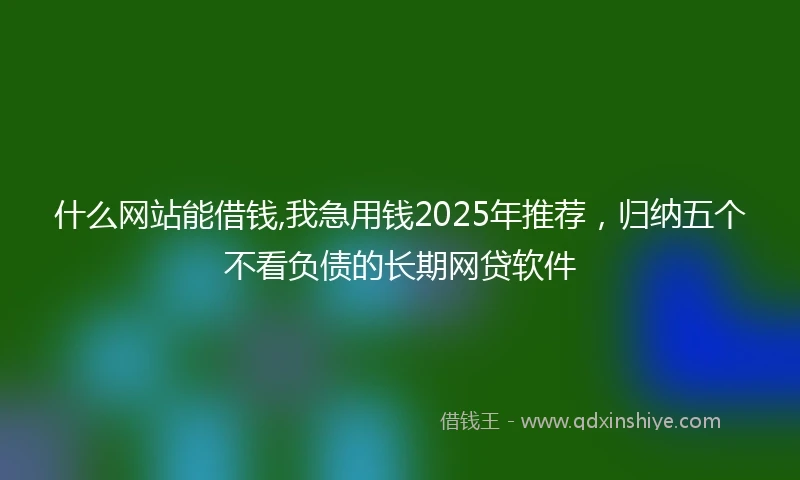什么网站能借钱,我急用钱2025年推荐，归纳五个不看负债的长期网贷软件