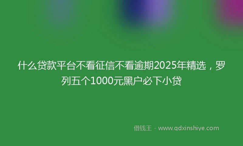 什么贷款平台不看征信不看逾期2025年精选，罗列五个1000元黑户必下小贷