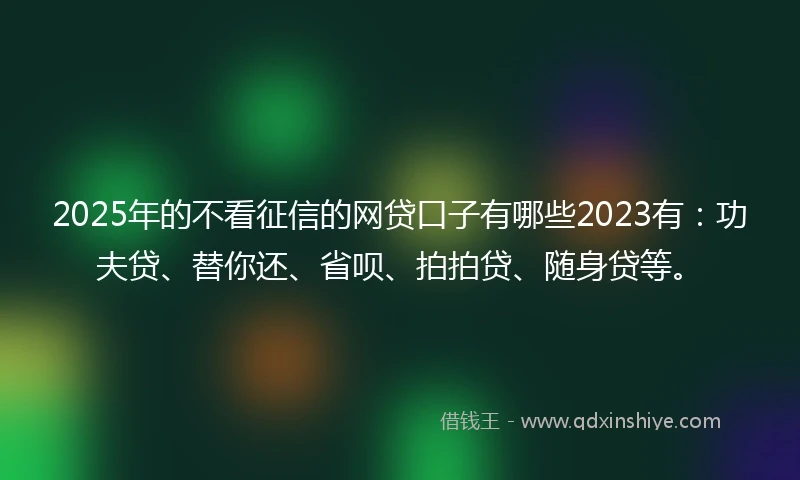 2025年的不看征信的网贷口子有哪些2023有：功夫贷、替你还、省呗、拍拍贷、随身贷等。