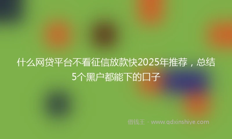 什么网贷平台不看征信放款快2025年推荐，总结5个黑户都能下的口子