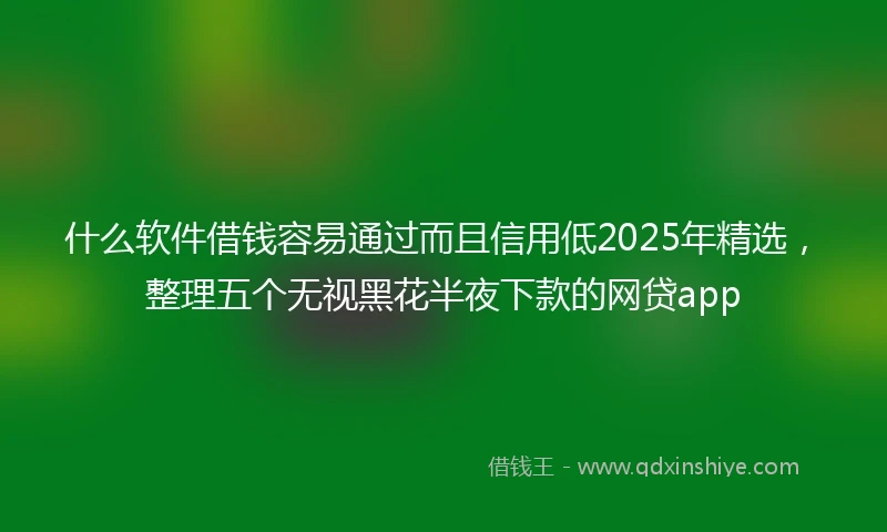 什么软件借钱容易通过而且信用低2025年精选，整理五个无视黑花半夜下款的网贷app