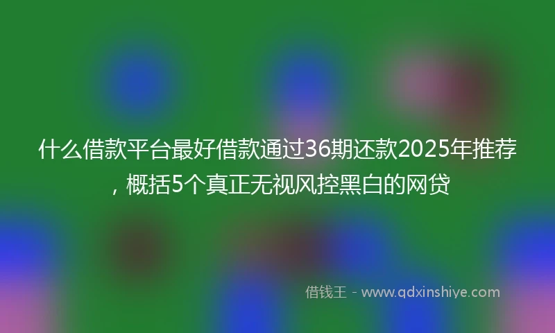 什么借款平台最好借款通过36期还款2025年推荐，概括5个真正无视风控黑白的网贷
