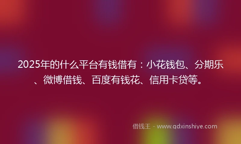 2025年的什么平台有钱借有：小花钱包、分期乐、微博借钱、百度有钱花、信用卡贷等。