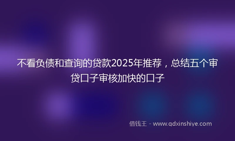 不看负债和查询的贷款2025年推荐，总结五个审贷口子审核加快的口子