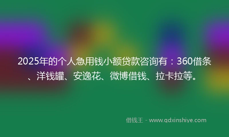 2025年的个人急用钱小额贷款咨询有：360借条、洋钱罐、安逸花、微博借钱、拉卡拉等。