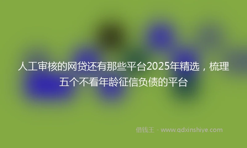 人工审核的网贷还有那些平台2025年精选，梳理五个不看年龄征信负债的平台