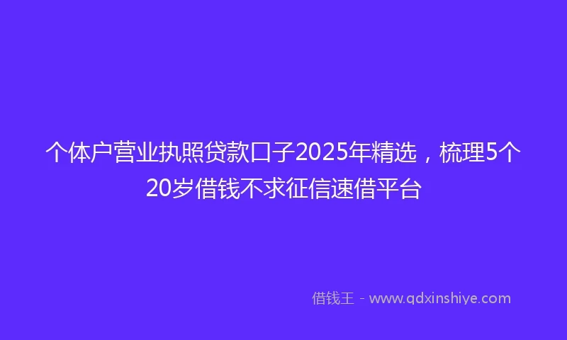 个体户营业执照贷款口子2025年精选，梳理5个20岁借钱不求征信速借平台
