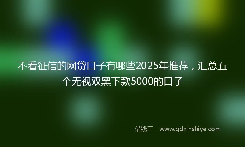 不看征信的网贷口子有哪些2025年推荐，汇总五个无视双黑下款5000的口子